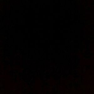 Meet your Posher, Rafaela